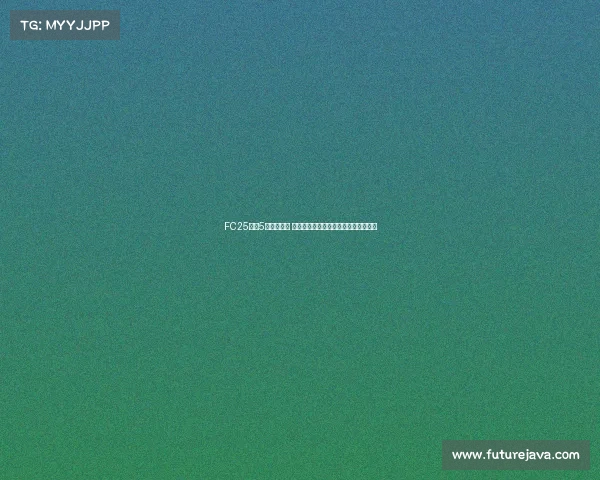 FC25粉卡5队阵容打造 以萨拉赫帕尔默杜埃贝尔皮尔洛为核心