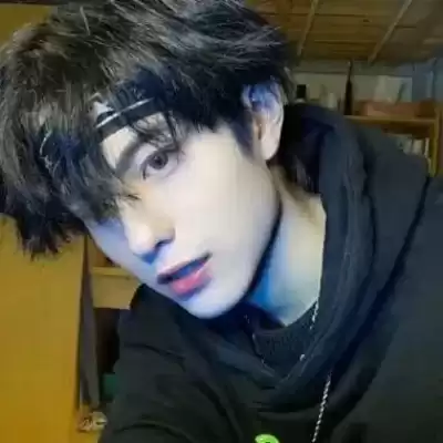 容晶辉